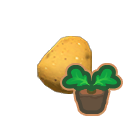 Large potato sprout