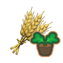 Large wheat sprout