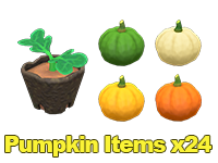 Pumpkin Items x24
