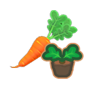 Small carrot sprout