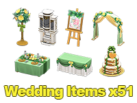 Wedding Items x51