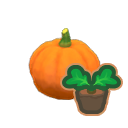small pumpkin sprout