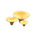 Flat Mushroom