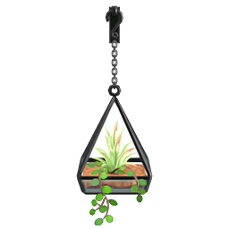 Hanging terrarium