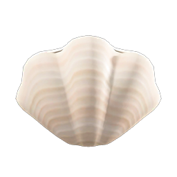 Shell lamp