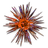 Blessing of Xoph