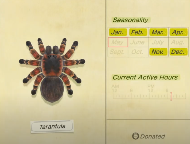 ACNH tarantula