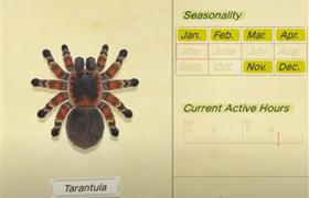 ACNH tarantula