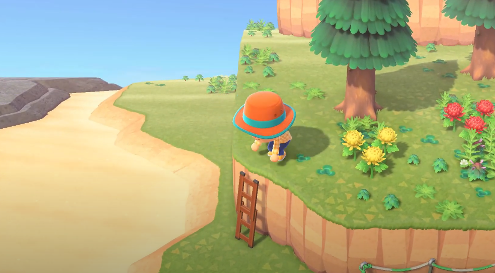 Animal Crossing New Horizons Ladder