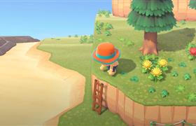 Animal Crossing New Horizons Ladder