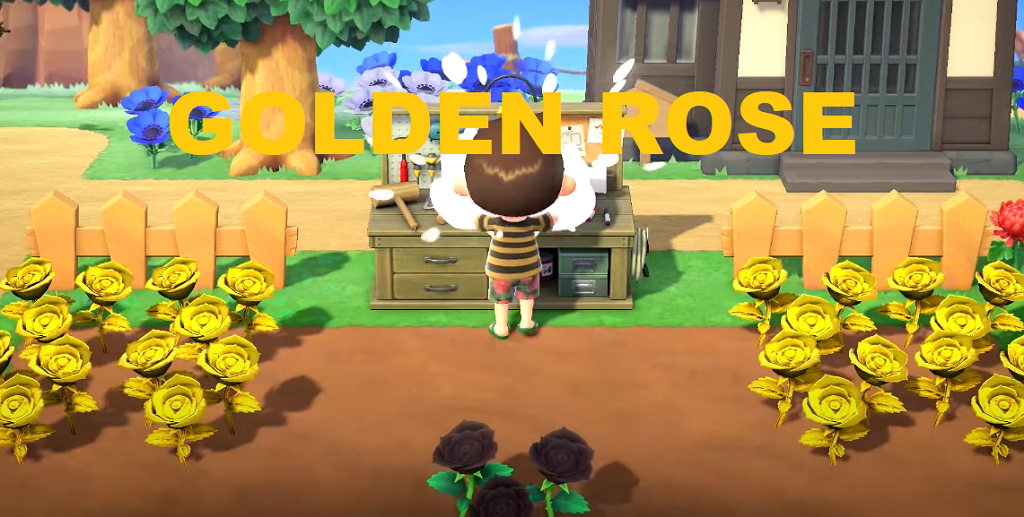 How To Get Golden Roses In Animal Crossing New Horizons