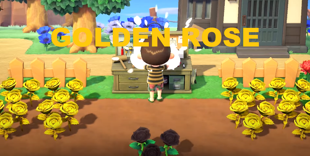 Animal Crossing New Horizons Golden Roses