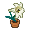 ACNH Lily Flower - White-lily plant