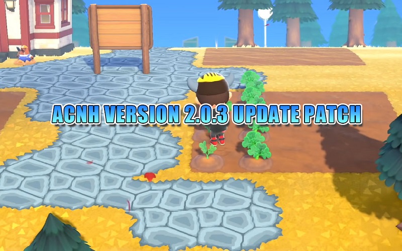 ACNH VERSION 2.0.3 UPDATE PATCH